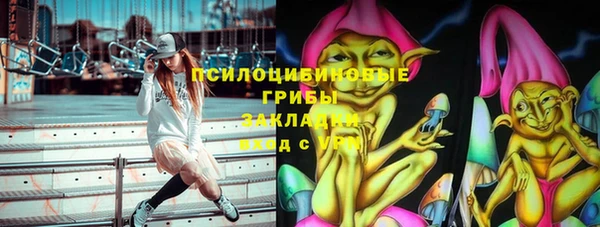 амф Володарск